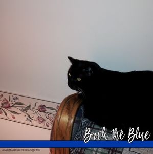 Meet your Posher, Bogustawa